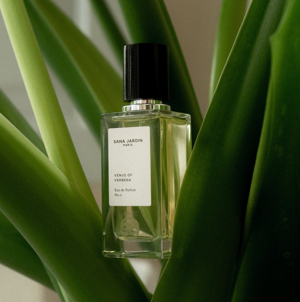 Best verbena discount perfume